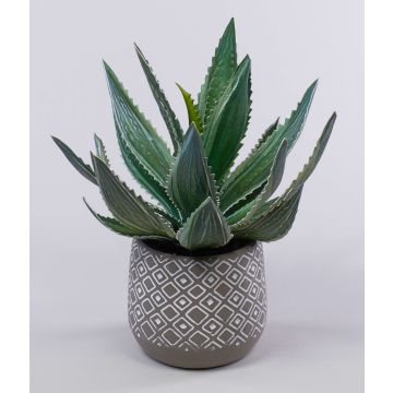 Agave americana Kunstpflanze HEDI im Terracotta Topf, grün, 35cm Agave americana Kunstpflanze HEDI im Terracotta Topf, grün, 35cm