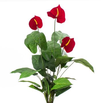 Plastik Anthurium CALVINA auf Steckstab, rot, 80cm, 12x16cm