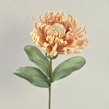 Künstliche Blume Nadelkissen Protea Kunststoffschaum ISLARTINA, creme-aprikose, 75cm