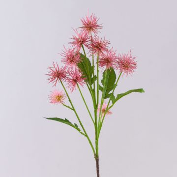 Kugeldistel Deko Zweig GESKENDA, rosa-gelb, 60cm, Ø3,5-5cm Kugeldistel Deko Zweig GESKENDA, rosa-gelb, 60cm, Ø3,5-5cm