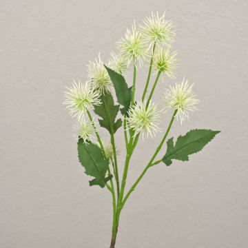 Kugeldistel Deko Zweig GESKENDA, creme-weiß, 60cm, Ø3,5-5cm Kugeldistel Deko Zweig GESKENDA, creme-weiß, 60cm, Ø3,5-5cm