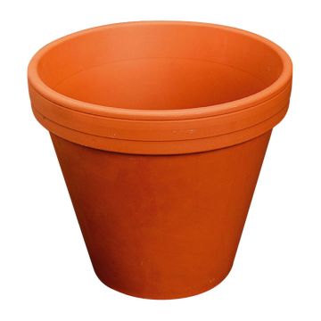 Terrakotta Blumentopf ARVION, outdoor, 8cm, Ø9cm Terrakotta Blumentopf ARVION, outdoor, 8cm, Ø9cm