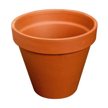Terrakotta Blumentopf DUNARI, outdoor, 14cm, Ø15cm Terrakotta Blumentopf DUNARI, outdoor, 14cm, Ø15cm