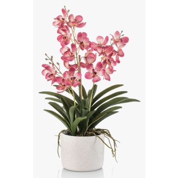 Künstliche Vanda Orchidee PAVRA im Keramiktopf, Wurzeln, pink-weiß, 60cm