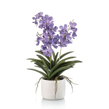 Künstliche Vanda Orchidee PAVRA im Keramiktopf, Wurzeln, violett-weiß, 60cm