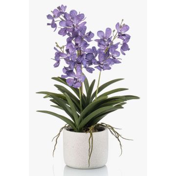 Künstliche Vanda Orchidee PAVRA im Keramiktopf, Wurzeln, violett-weiß, 60cm