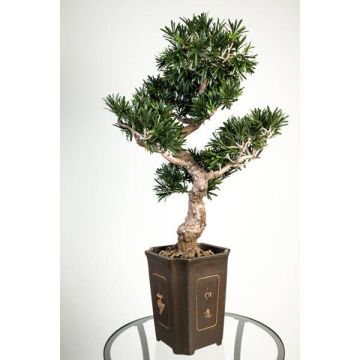 Kunstbonsai Steineibe TRISTAN mit Wurzeln, im Dekotopf, 90cm