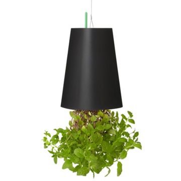 Kunst Minze Hänger LEVONT im Dekotopf, grün, 13cm, Ø9,5cm