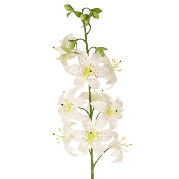 Lilie künstlich LABRICKA, weiß-gelb, 100cm, Ø9cm