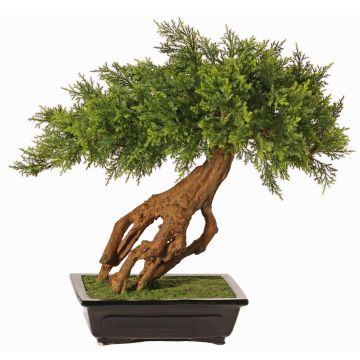 Künstlicher Wacholder Bonsai LORITIS in Steinschale, 55cm