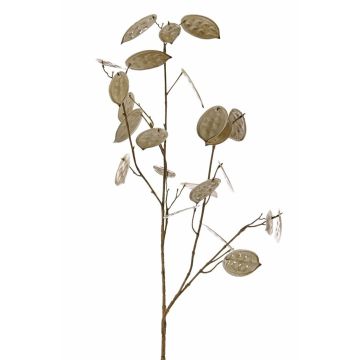 Deko Zweig Lunaria LOUDIAS, beige, 90cm Deko Zweig Lunaria LOUDIAS, beige, 90cm