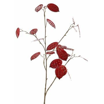 Deko Zweig Lunaria LOUDIAS, rot, 90cm Deko Zweig Lunaria LOUDIAS, rot, 90cm