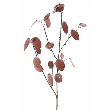 Deko Zweig Lunaria LOUDIAS, mauve, 90cm Deko Zweig Lunaria LOUDIAS, mauve, 90cm