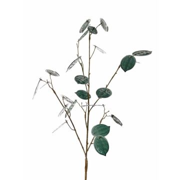 Deko Zweig Lunaria LOUDIAS, petrolgrün, 90cm Deko Zweig Lunaria LOUDIAS, petrolgrün, 90cm