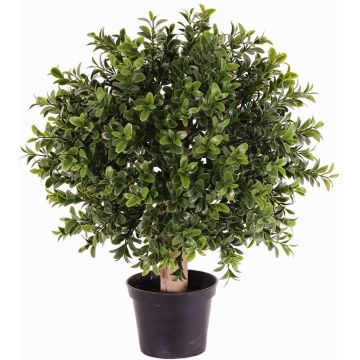 Buchsbaum künstlich TOM, Naturstamm, crossdoor, 35cm, Ø25cm Buchsbaum künstlich TOM, Naturstamm, crossdoor, 35cm, Ø25cm