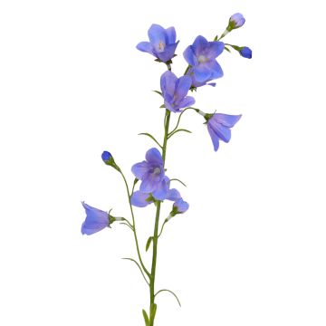 Künstliche Glockenblume GISELA, blau, 65cm, Ø1-4cm Künstliche Glockenblume GISELA, blau, 65cm, Ø1-4cm