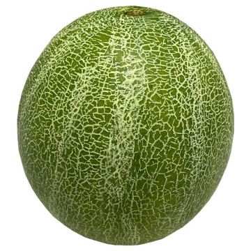 Deko Obst Cantaloupe-Melone ZASTO, grün, Ø15cm
