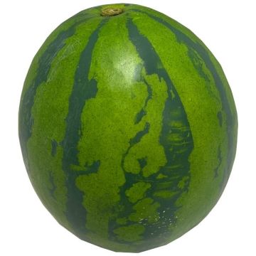 Deko Obst Wassermelone BERCA, grün, Ø15cm
