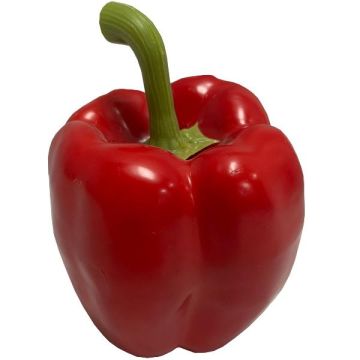 Künstliches Gemüse Paprika REKLA, rot, 8cm, Ø7,5cm