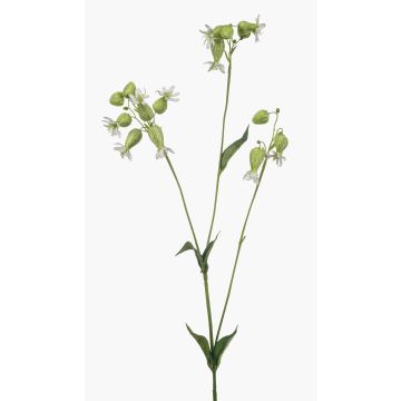 Künstlicher Zweig Leimkraut PRANVERA mit Blüten, weiß-grün, 80cm