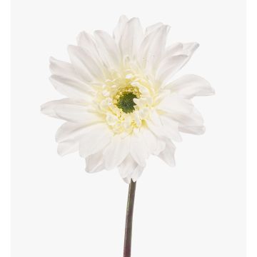 Künstliche Gerbera FRALWE, Eco Collection, weiß, 65cm, Ø13cm Künstliche Gerbera FRALWE, Eco Collection, weiß, 65cm, Ø13cm
