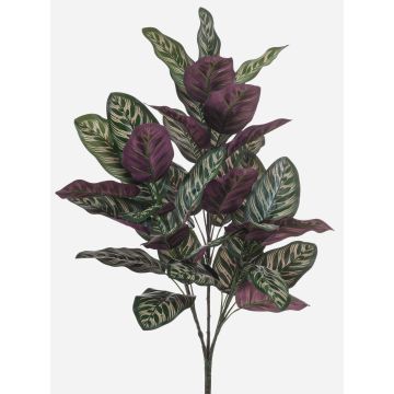 Kunstpflanze Calathea makoyana TROGAR auf Steckstab, grün-violett, 70cm