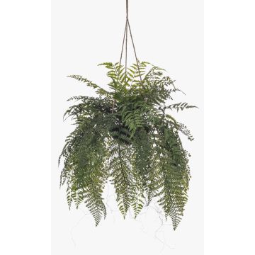 Deko Schwertfarn Frauenhaarfarn Blumenampel MAXROL, Erdballen, Wurzeln, hängend, grün, 85cm