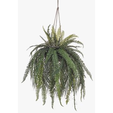 Deko Frauenfarn Blumenampel MAXROL, Erdballen, Wurzeln, hängend, grün, 90cm