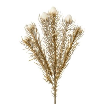 Deko Zweig Nadelkissen Protea KROLI, creme-braun, 50cm