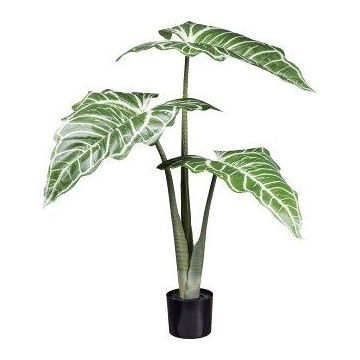 Künstliche Pflanze Colocasia TAHRON, grün-weiß, 130cm
