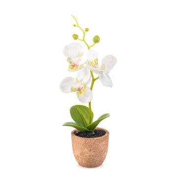 Plastik Orchidee Phalaenopsis LEONISA im Terrakottatopf, weiß, 20cm