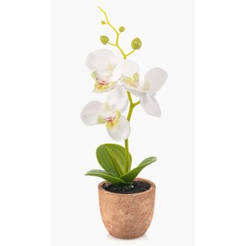 Plastik Orchidee Phalaenopsis LEONISA im Terrakottatopf, weiß, 20cm