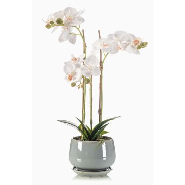 Kunstorchidee Phalaenopsis JOLANA im Keramiktopf, weiß, 45cm Kunstorchidee Phalaenopsis JOLANA im Keramiktopf, weiß, 45cm