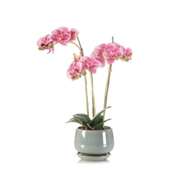 Kunstorchidee Phalaenopsis JOLANA im Keramiktopf, rosa, 45cm