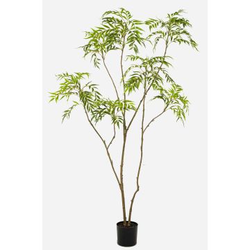 Baum künstlich Mahonie KLEANA, künstliche Stämme, grün, 210cm