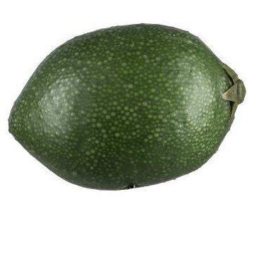 Dekoobst Limette POLASY, dunkelgrün, 4,5cm, Ø3,5cm