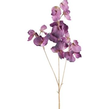 Deko Zweig Lathyrus latifolius SLIRKEN, dunkellila, 75cm