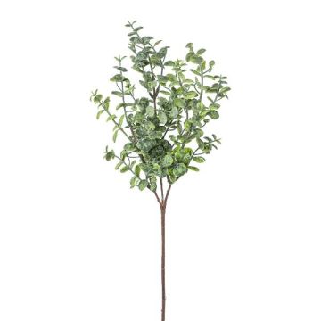 Kunstzweig Eukalyptus PRAVEN, grün, 45cm Kunstzweig Eukalyptus PRAVEN, grün, 45cm