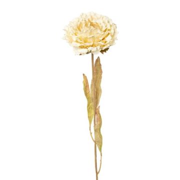 Dekoblume Pfingstrose MASNOR, Trockenoptik, creme, 65cm