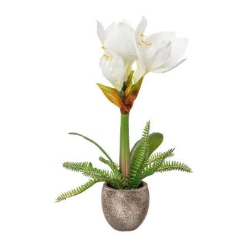 Kunstblumen Gesteck Amaryllis OMELRA mit Farn, Zementtopf, weiß, 35cm Kunstblumen Gesteck Amaryllis OMELRA mit Farn, Zementtopf, weiß, 35cm