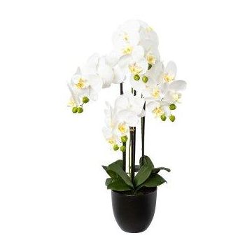 Kunst Phalaenopsis Orchidee UKERNA im Resin-Übertopf, weiß, 70cm