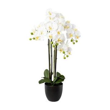 Kunst Phalaenopsis Orchidee UKERNA im Resin-Übertopf, weiß, 85cm
