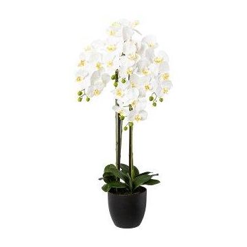 Kunst Phalaenopsis Orchidee UKERNA im Resin-Übertopf, weiß, 100cm