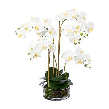 Kunst Phalaenopsis Orchidee MARFELA im Glas, weiß, 50cm