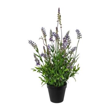 Deko Blume Lavendel SMORLI im Dekotopf, lila, 50cm