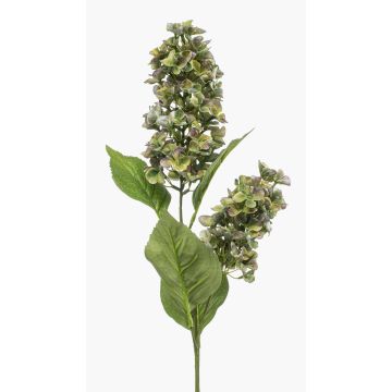 Künstlicher Zweig Hortensie XELMAR, grün-lila, 75cm Künstlicher Zweig Hortensie XELMAR, grün-lila, 75cm