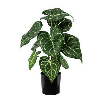 Kunstpflanze Anthurium KURMA, grün-weiß, 35cm