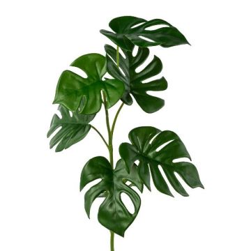 Dekozweig Philodendron monstera deliciosa RINTEC, 70cm