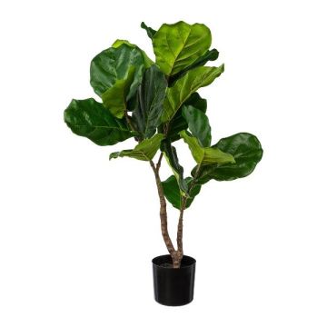 Kunstbaum Ficus lyrata MYKER, Kunststamm, grün, 80cm Kunstbaum Ficus lyrata MYKER, Kunststamm, grün, 80cm