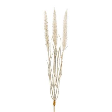 Fake Gras Lampenputzergras ALOGUI Steckstab, Rispen, beige, 50cm